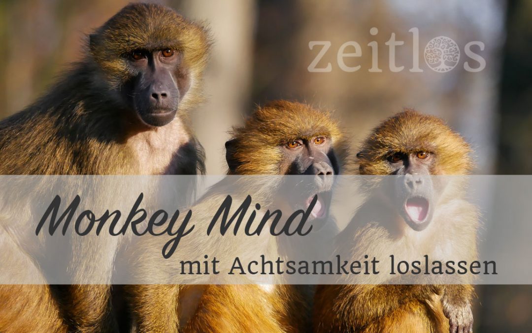 Monkey Mind – mit Achtsamkeit loslassen